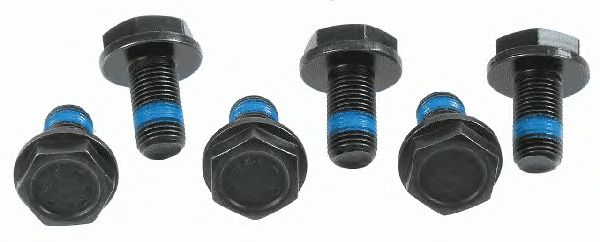 3096 005 000 SACHS  -  Болт маховика (комплект)1